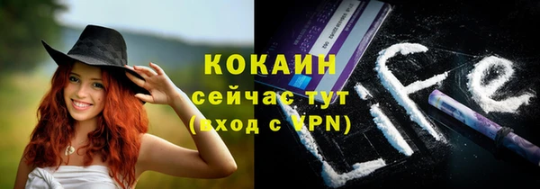 соль ск Алексин