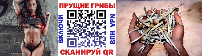 Галлюциногенные грибы мицелий  Арамиль 